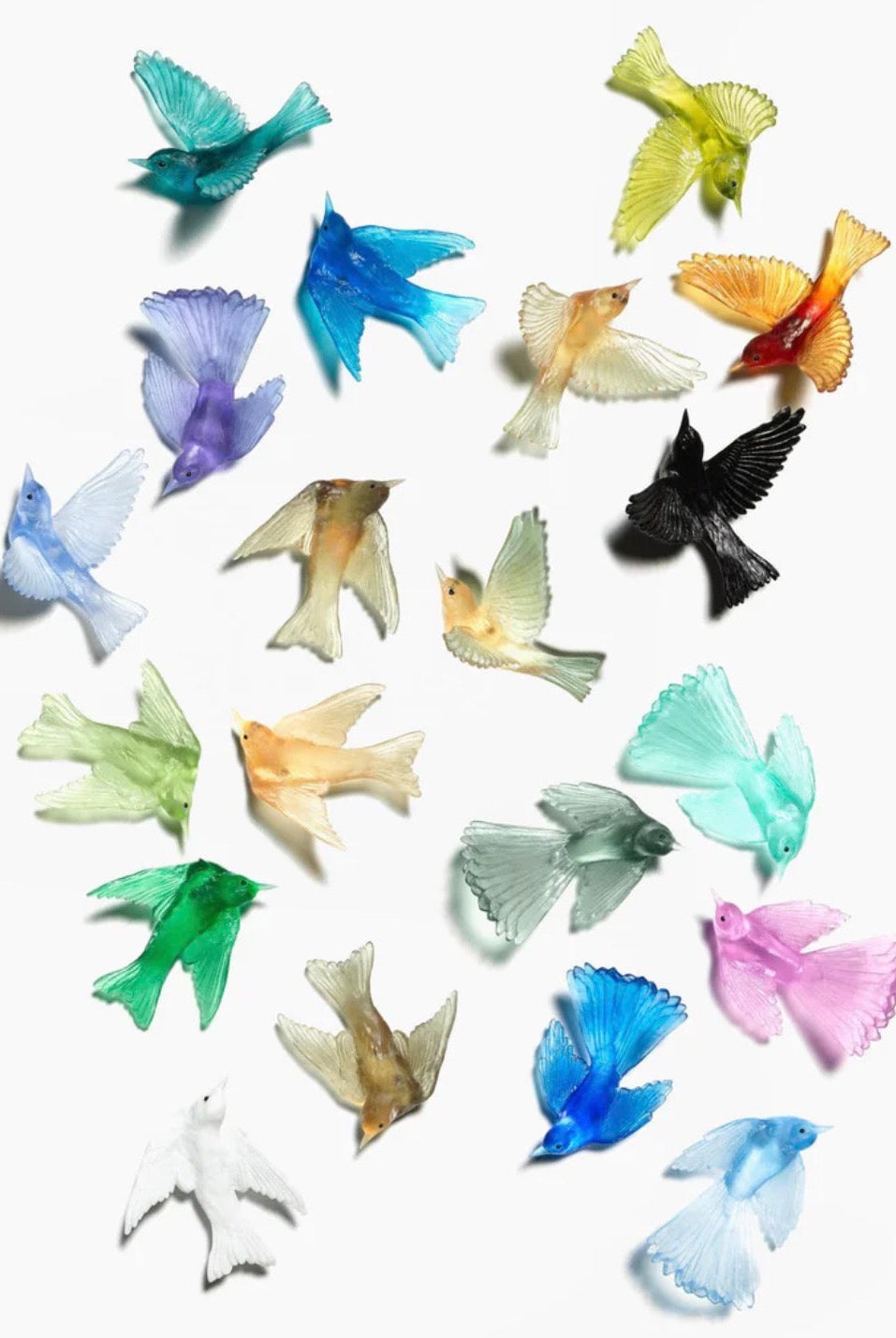 Luke Jacomb - Glass Birds