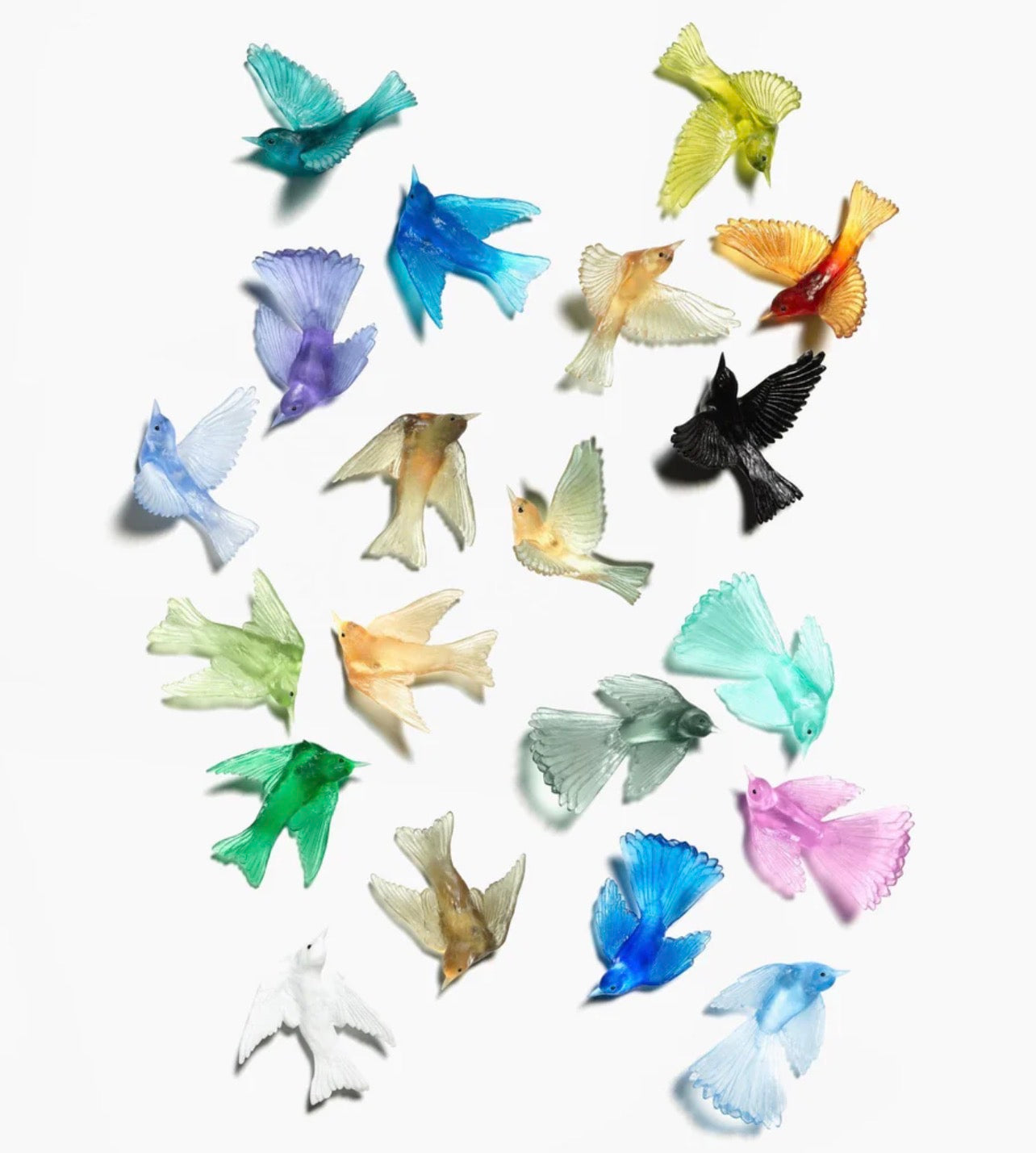 Luke Jacomb - Glass Birds